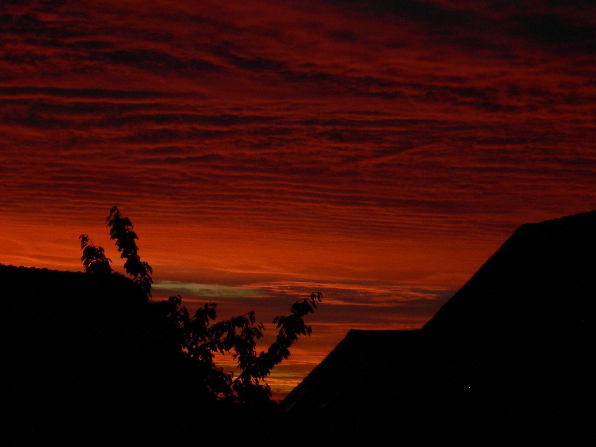 La Ferme Rose Bed & Breakfast Cergy Luaran gambar